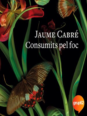 cover image of Consumits pel foc